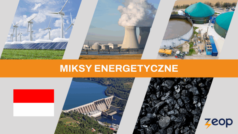 Miksy energetyczne INDONEZJA