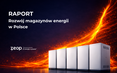RAPORT Rozwój magazynów energii w Polsce (1)