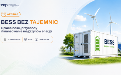 Webinar BESS Assetin bez prelegenta