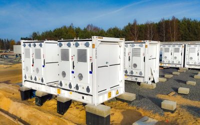 WhatsApp Image 2026-01-26 at 10.59.57 (2)